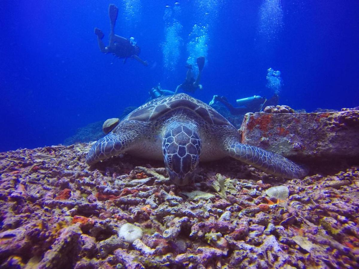 La Favela Vandrarhem Gili Trawangan Exteriör bild